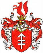 lis3 Szymon Zabiello