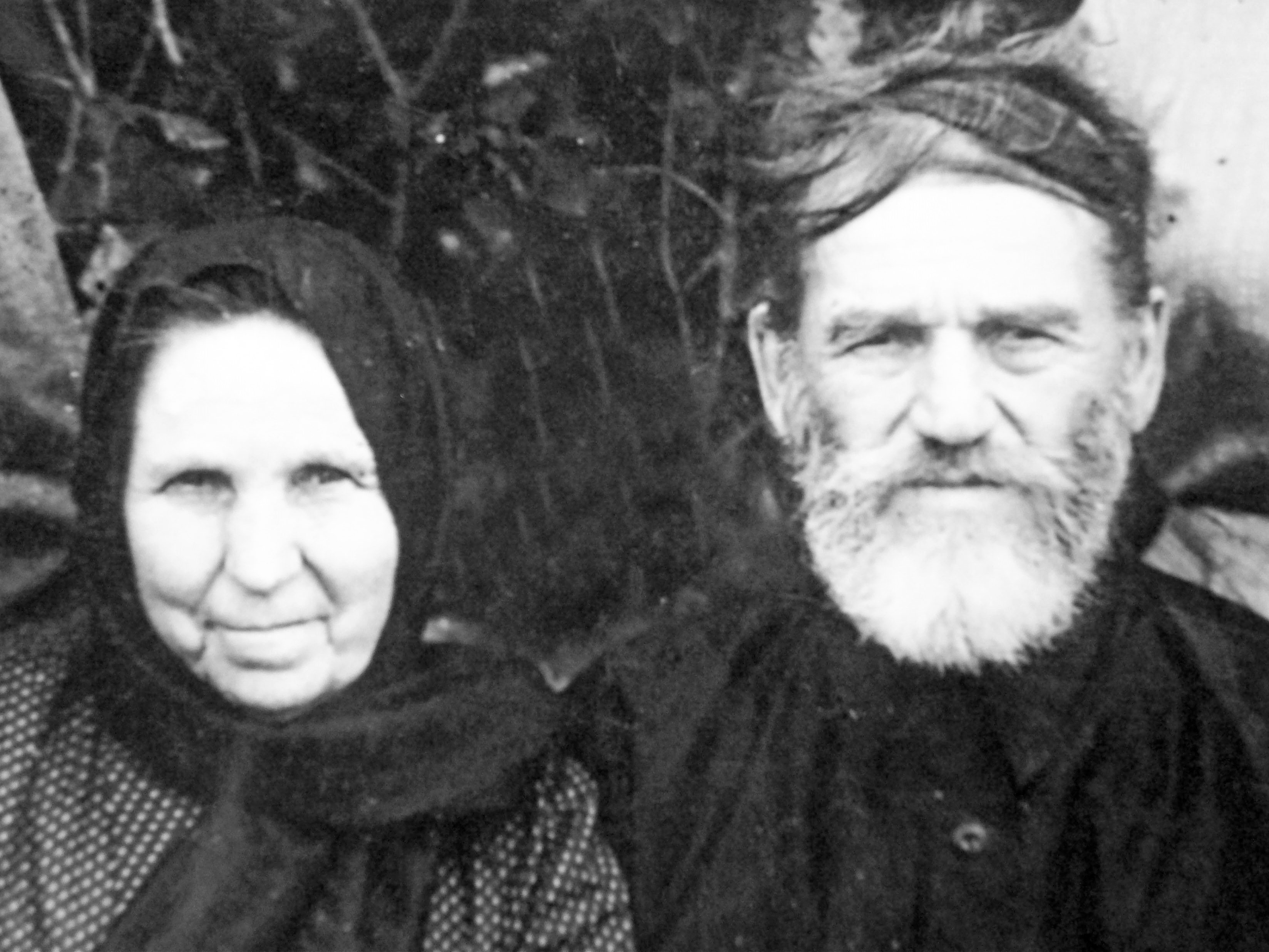Екатерина Александровна Гумилёва Екатерина Александровна Гумилёва
