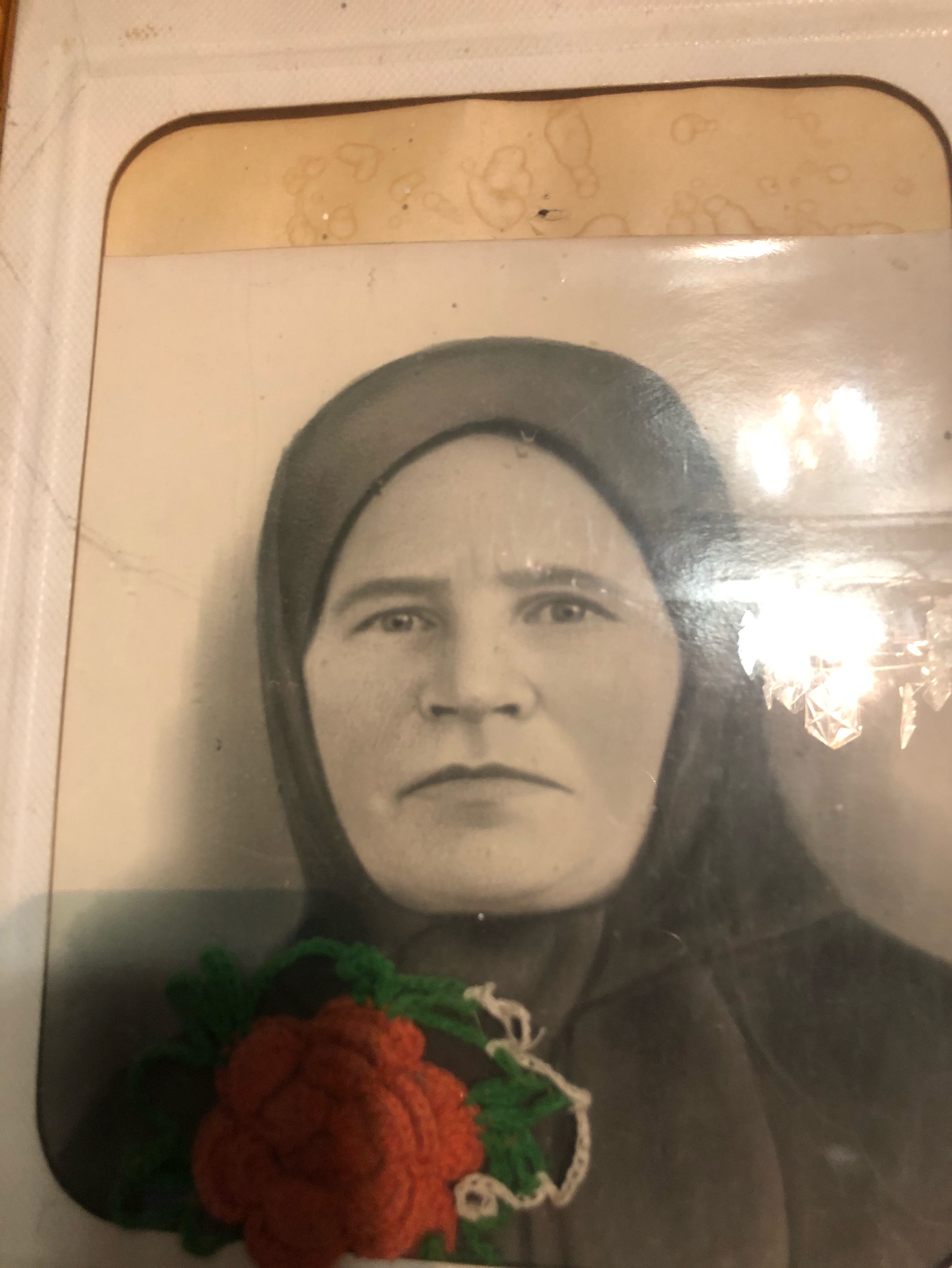 Анна Потапова