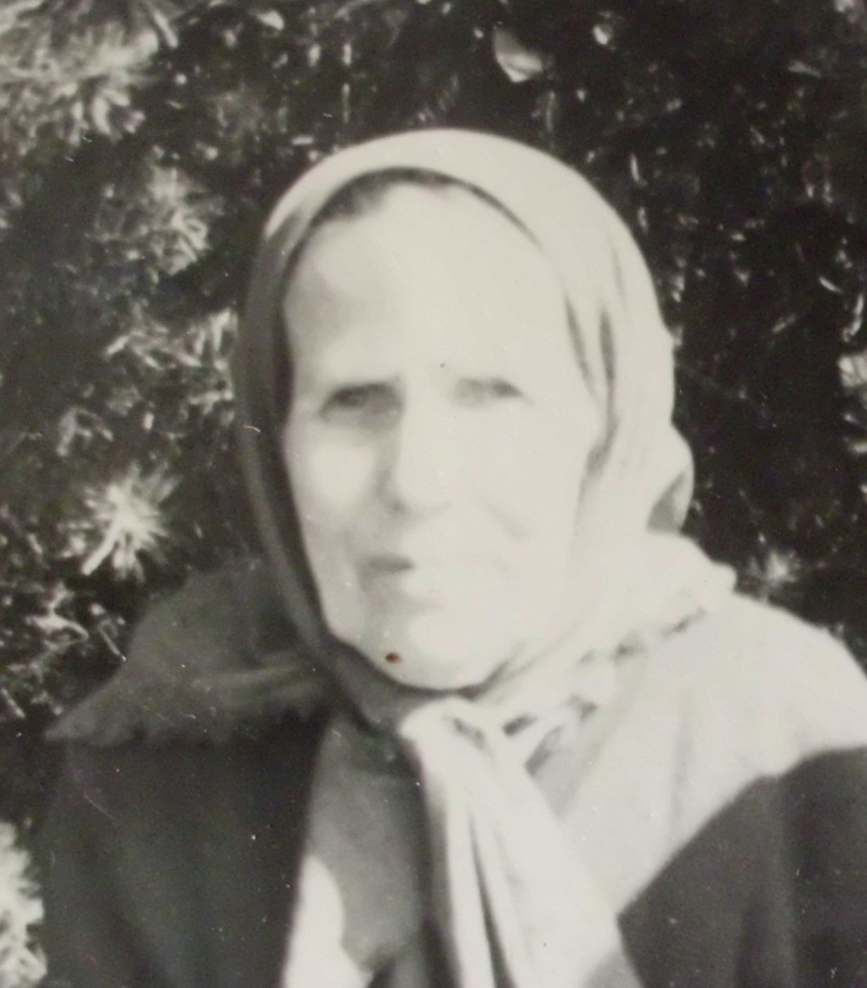 Елизавета Матвеева