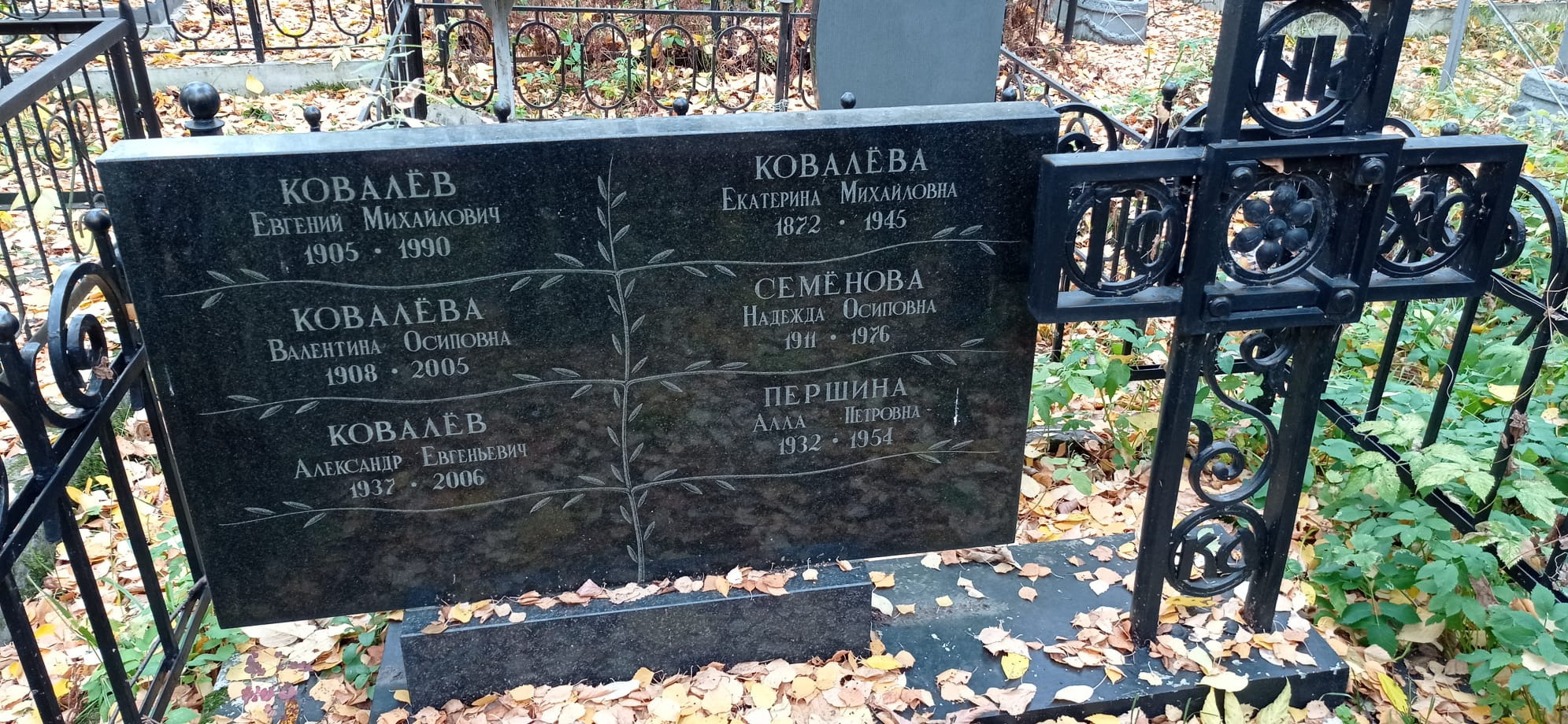 Аэлита Першина