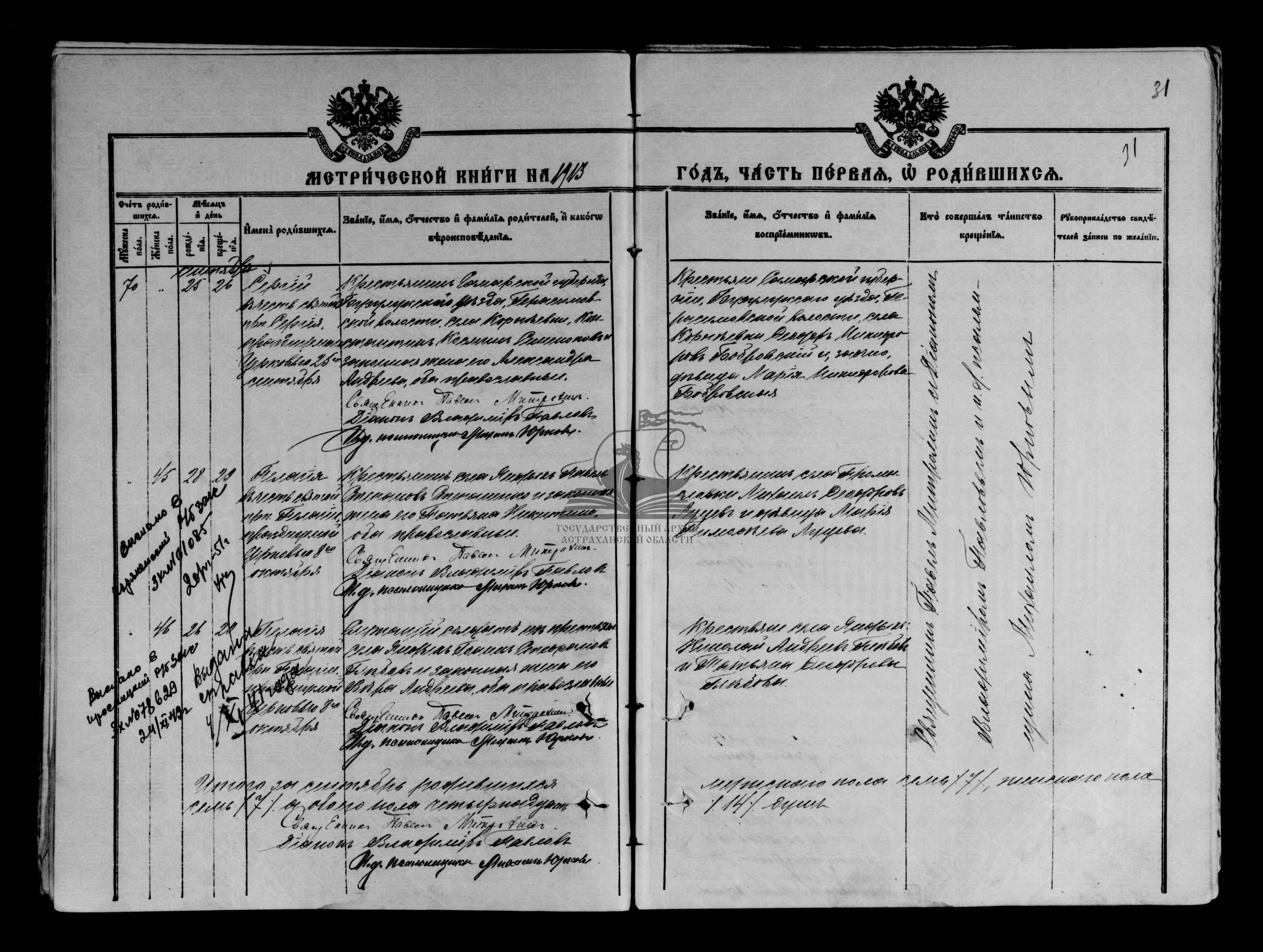 Пелагея Павловна Степаненко