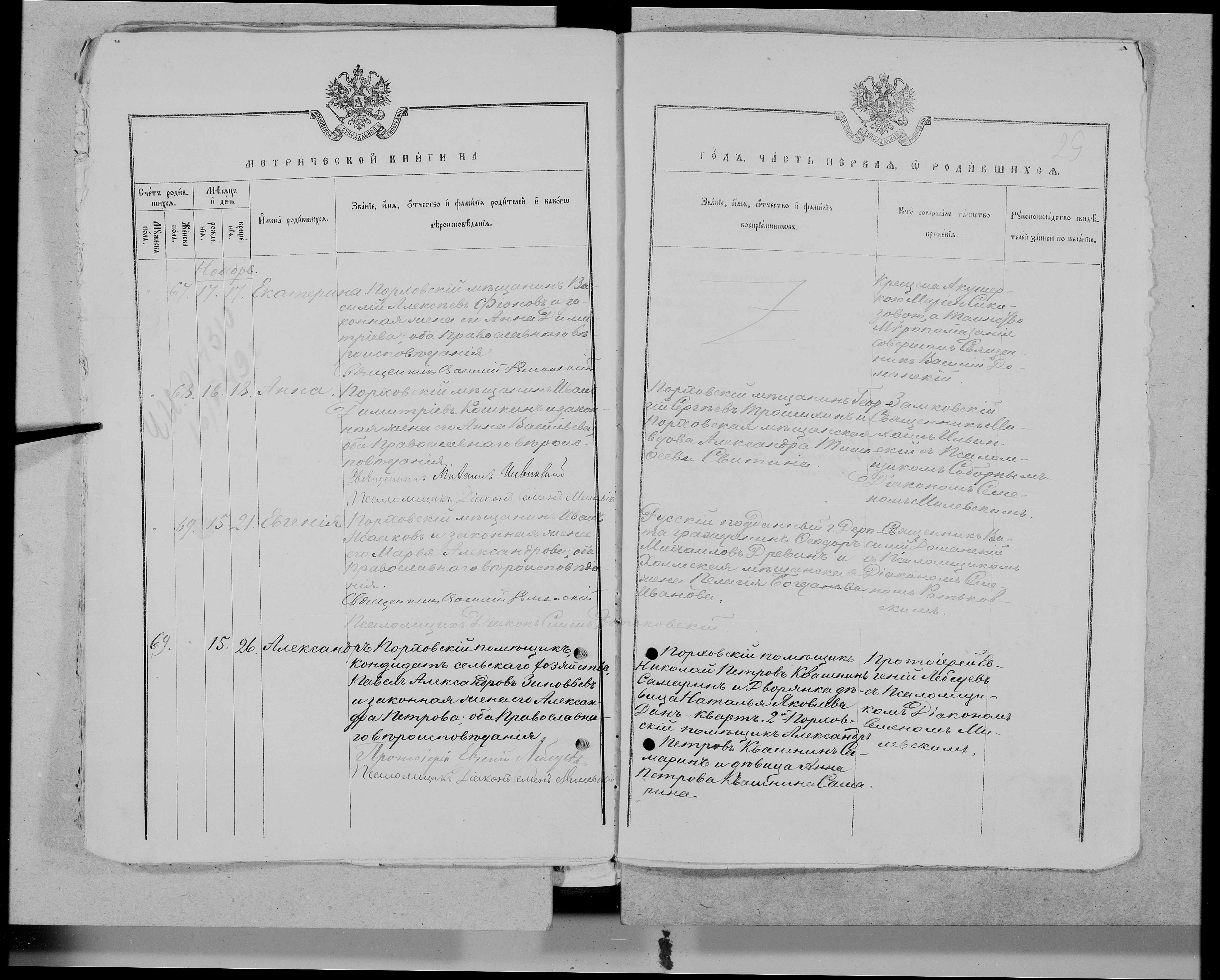 record-image_koshkina anna Анна Кошкина