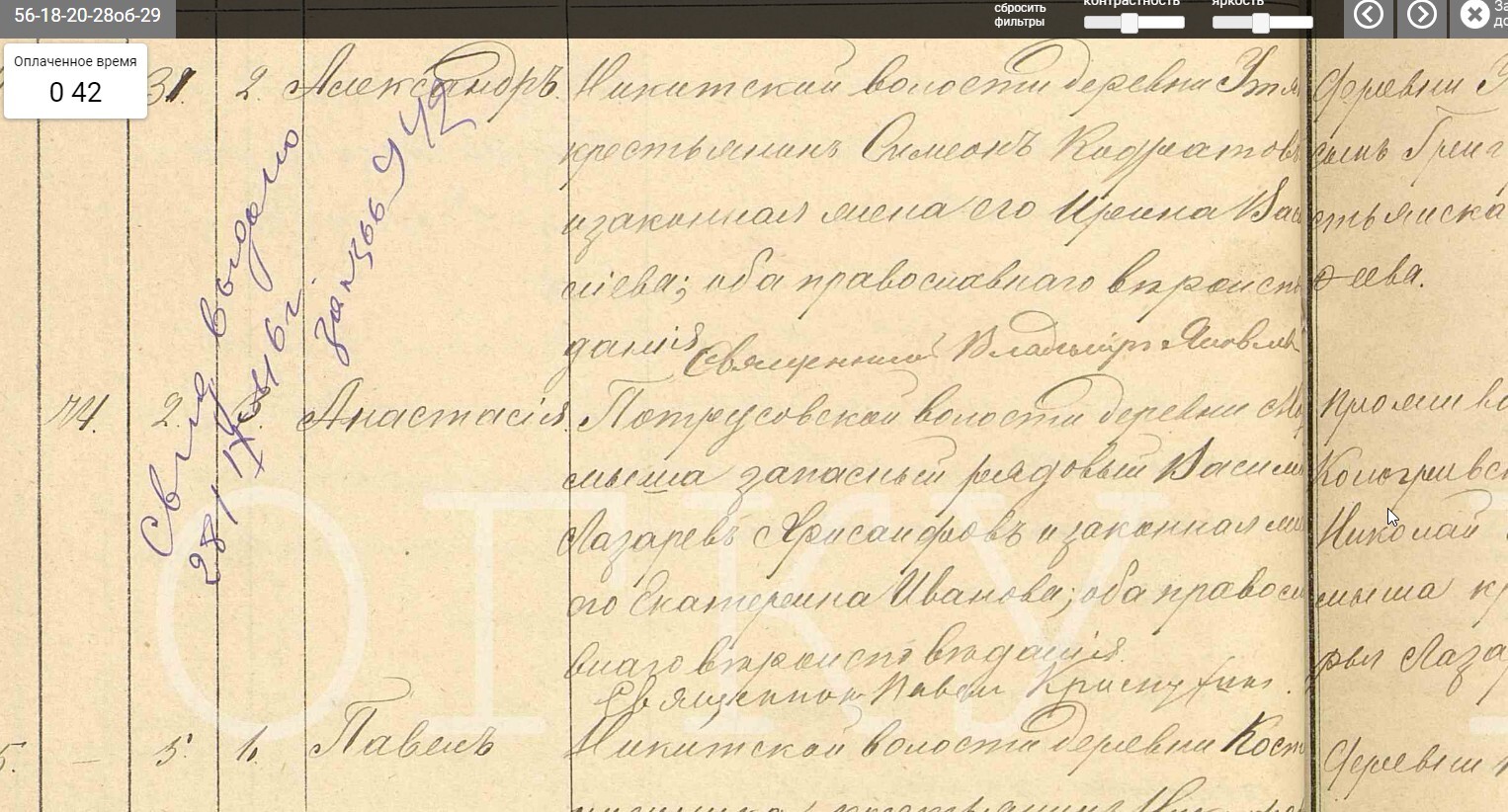 Анастасия Васильевна Хрисанфова