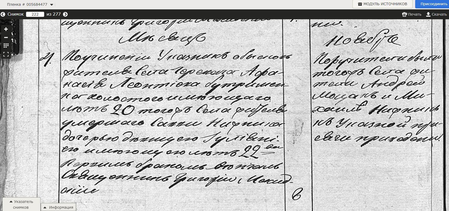 Иулиния Саввина Нижник