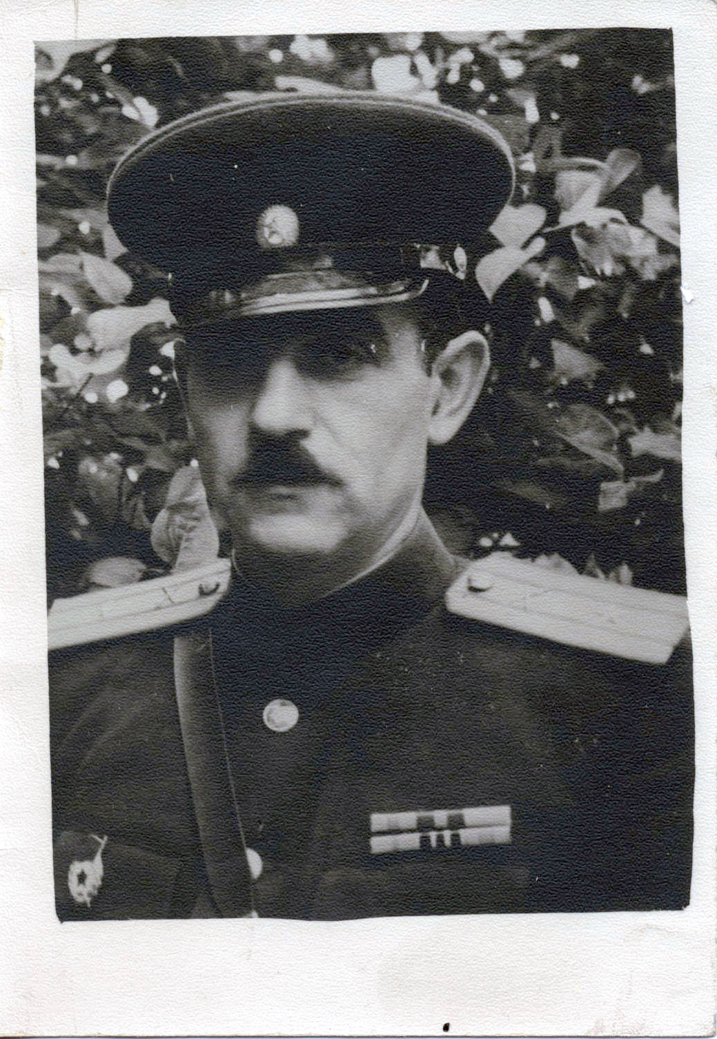 Владилен Маркович Ландо