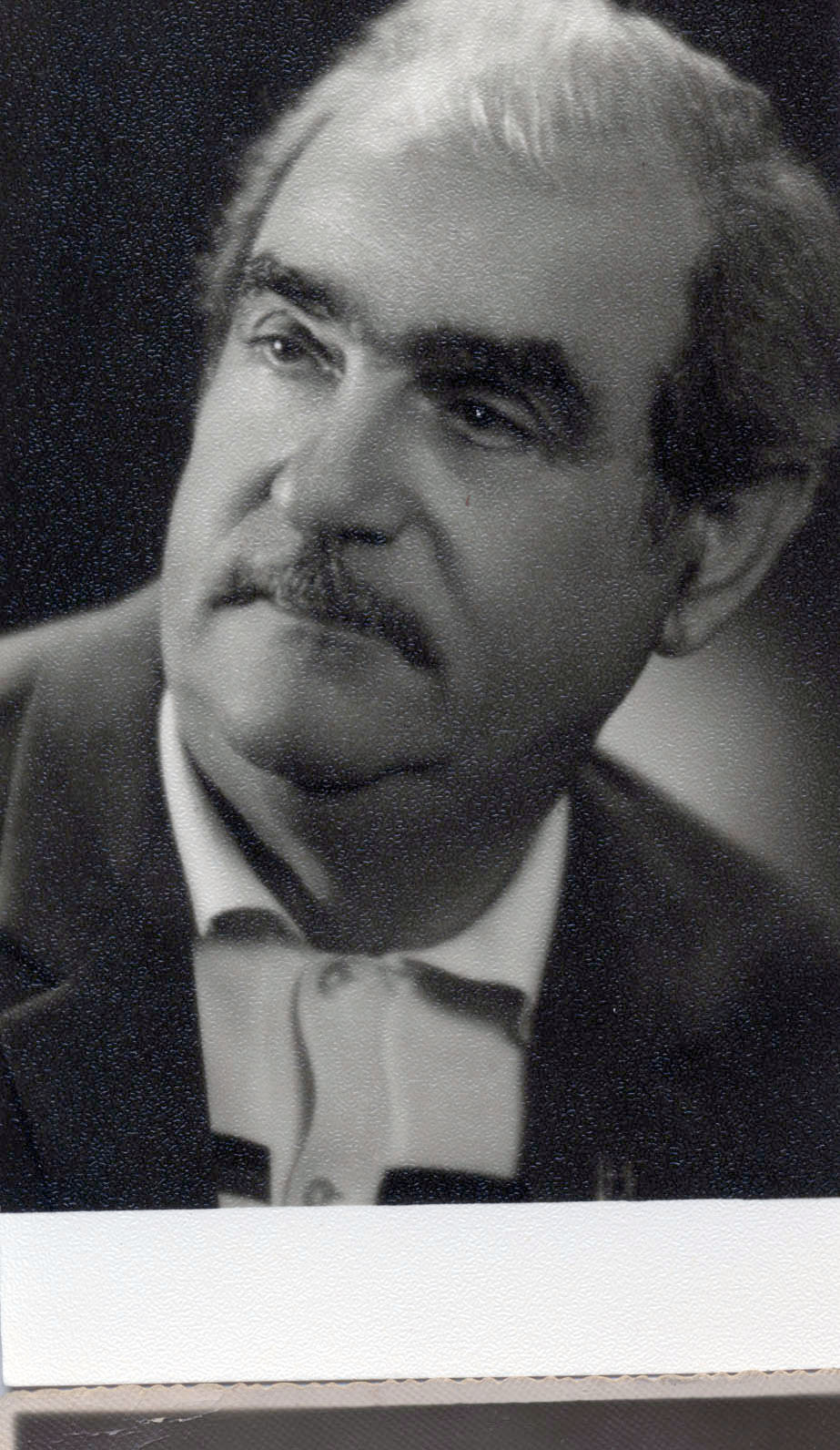 Владилен Маркович Ландо