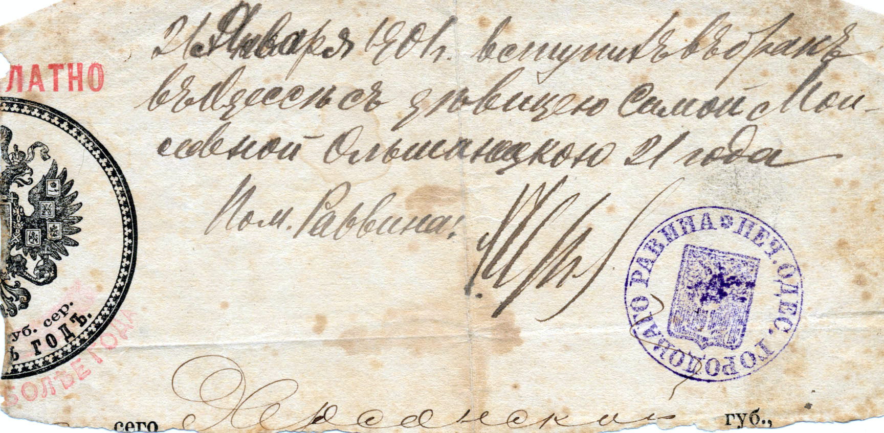 свидетельство о браке 1901 Сима Моисеевна Ольшанецкая