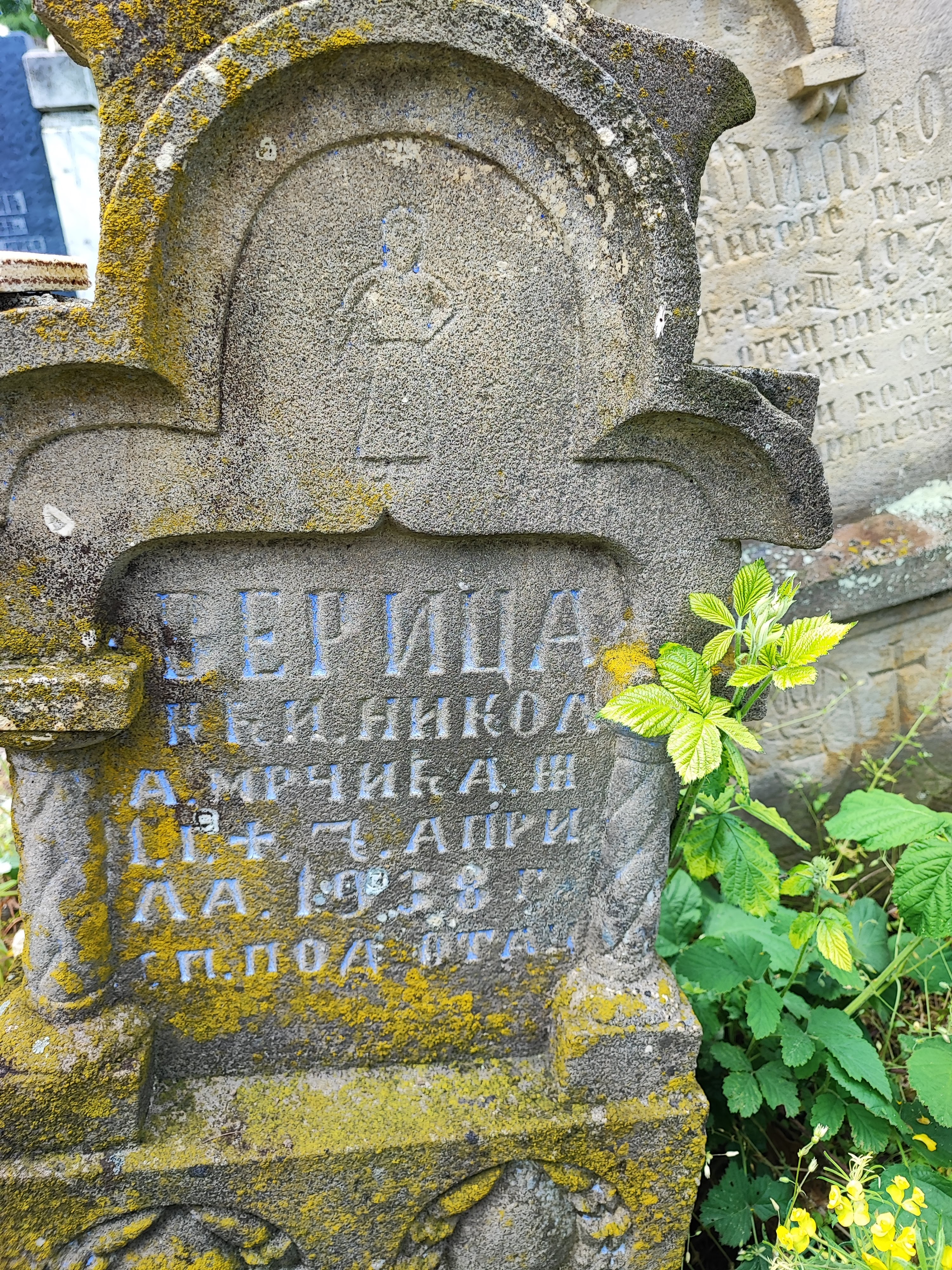 Verica Mrčić