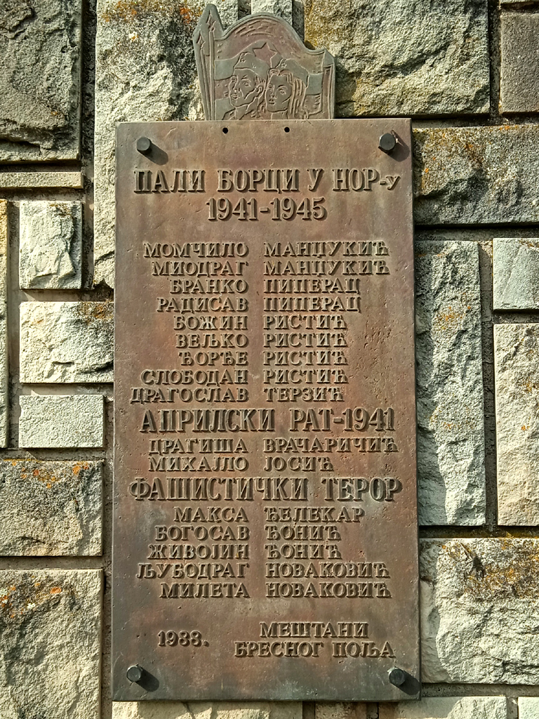 Veselin Ristić