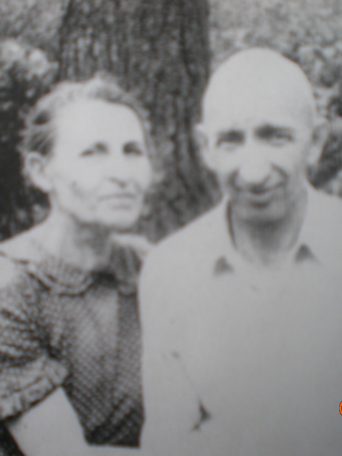 Сергей Булгаков и Софья Мецлер Сергей Сергеевич Булгаков