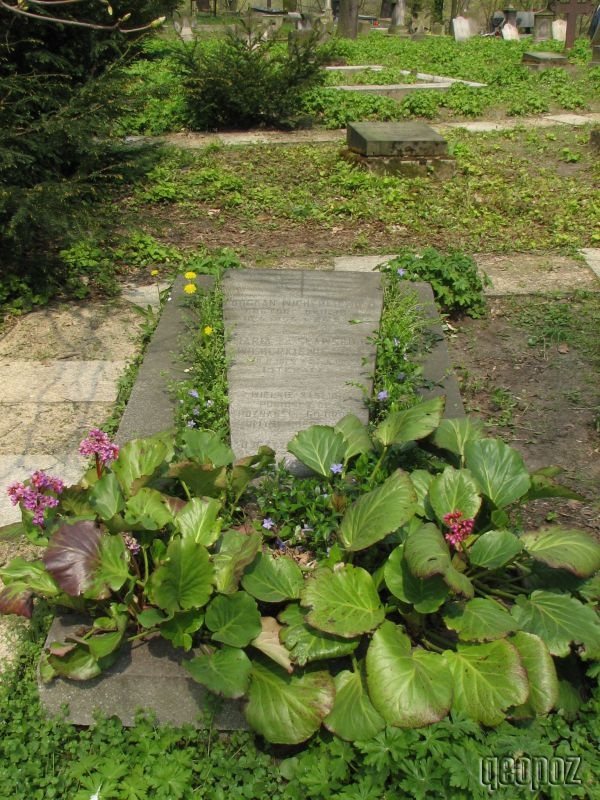 Maria Julia Sławska