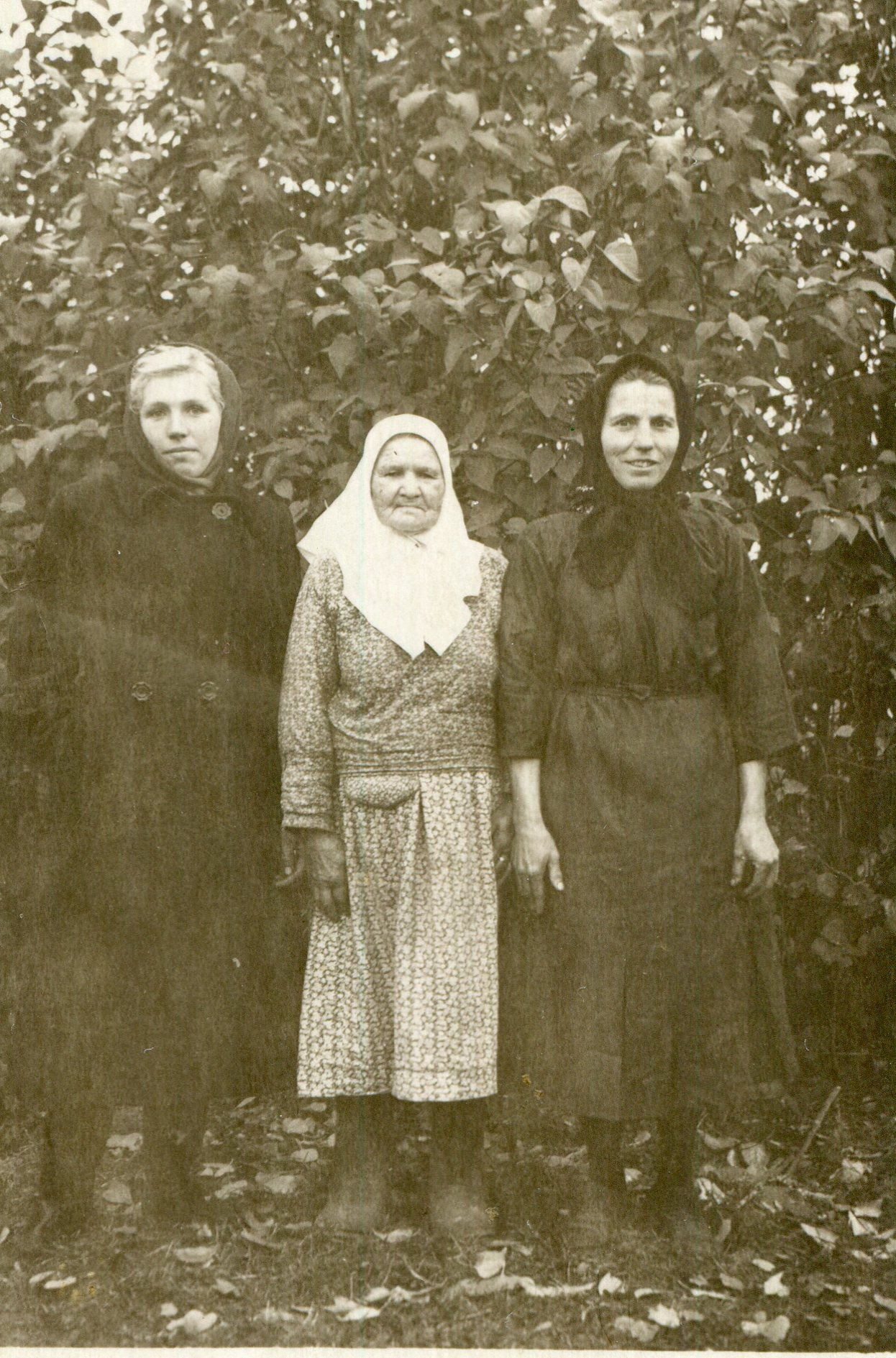 img169 Матрена Никифоровна