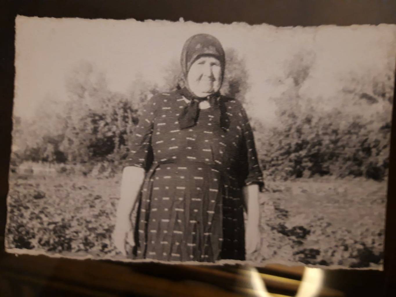 Прабабушка Василиса Шумилова Мать Василиса Шумилова (Густокашина)