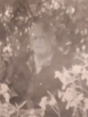 Владимир Иванович Меньщиков Владимир Иванович Меньщиков