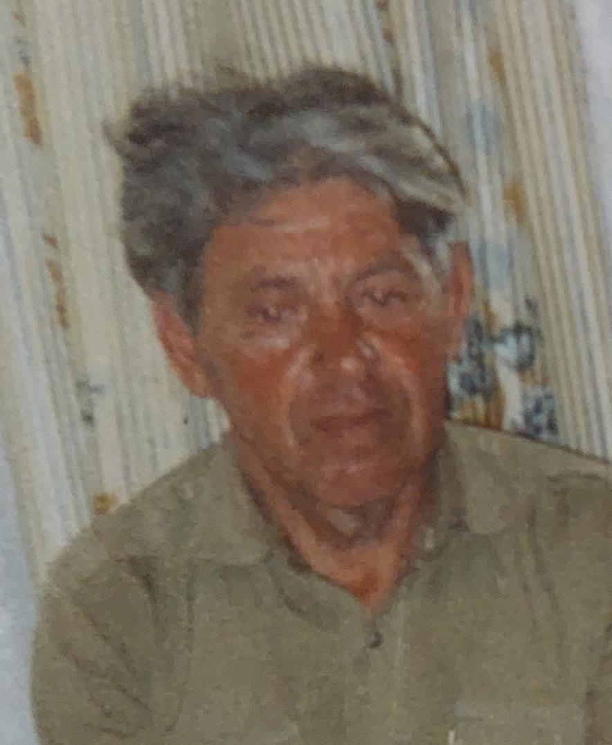 Владимир Алексеевич Николаев Владимир Алексеевич Николаев