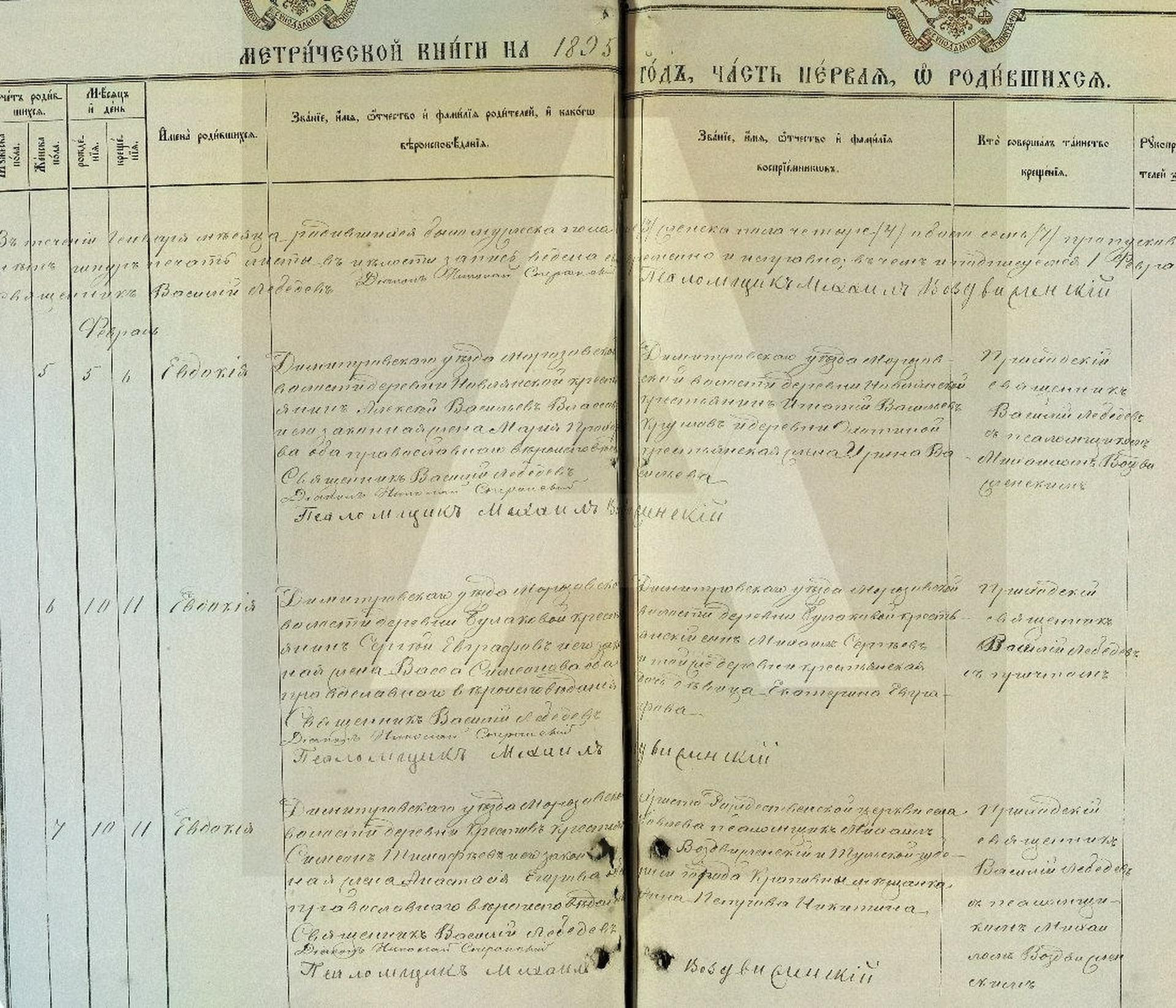 358120_20230410_054852_improved Евдокия Семеновна Крюкова