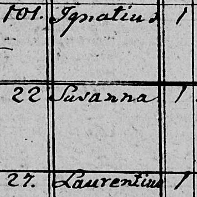 Сюзанна Susanna Станчик Stańczyk