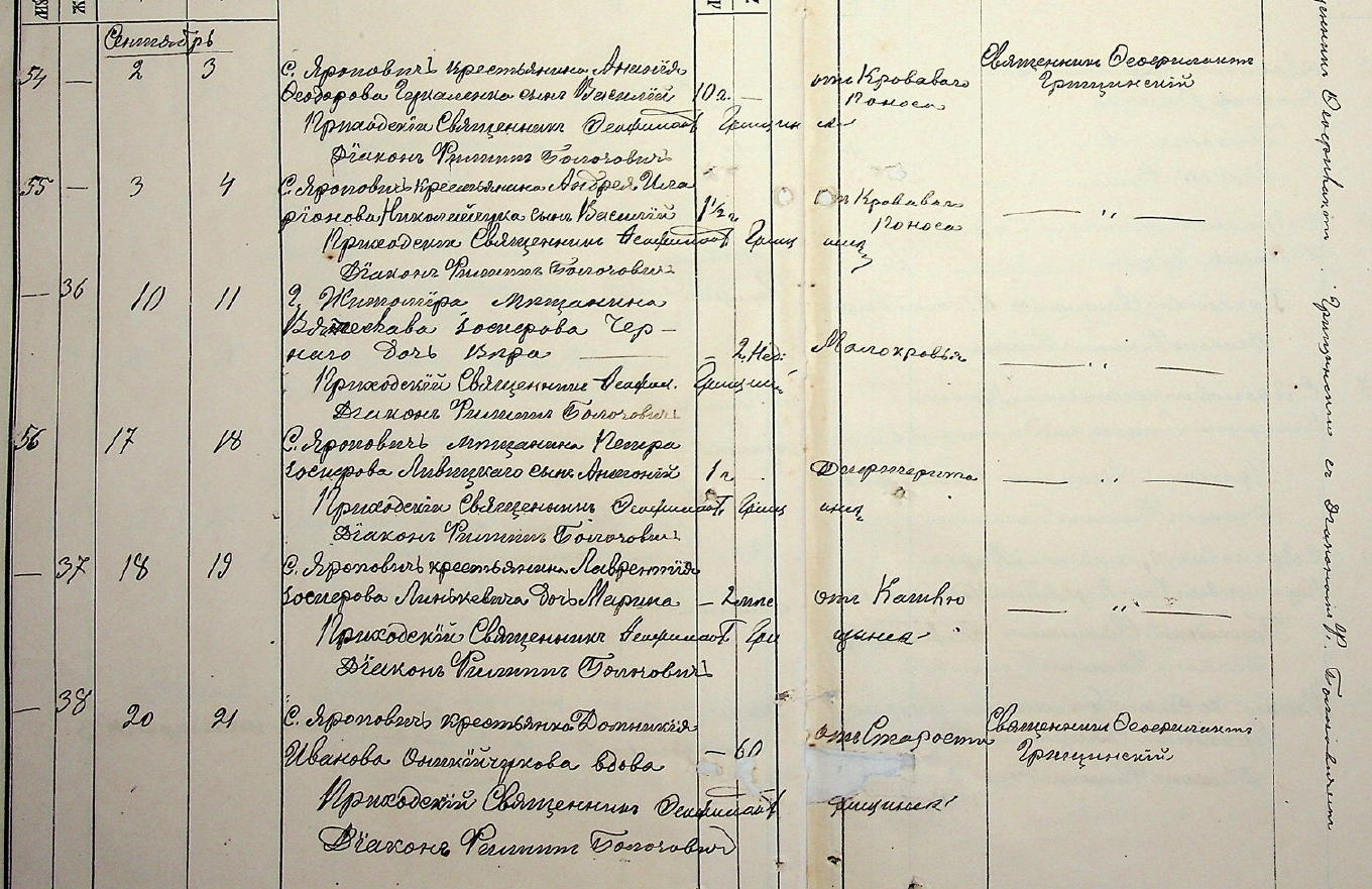 Марина Лаврентьевна Линкевич