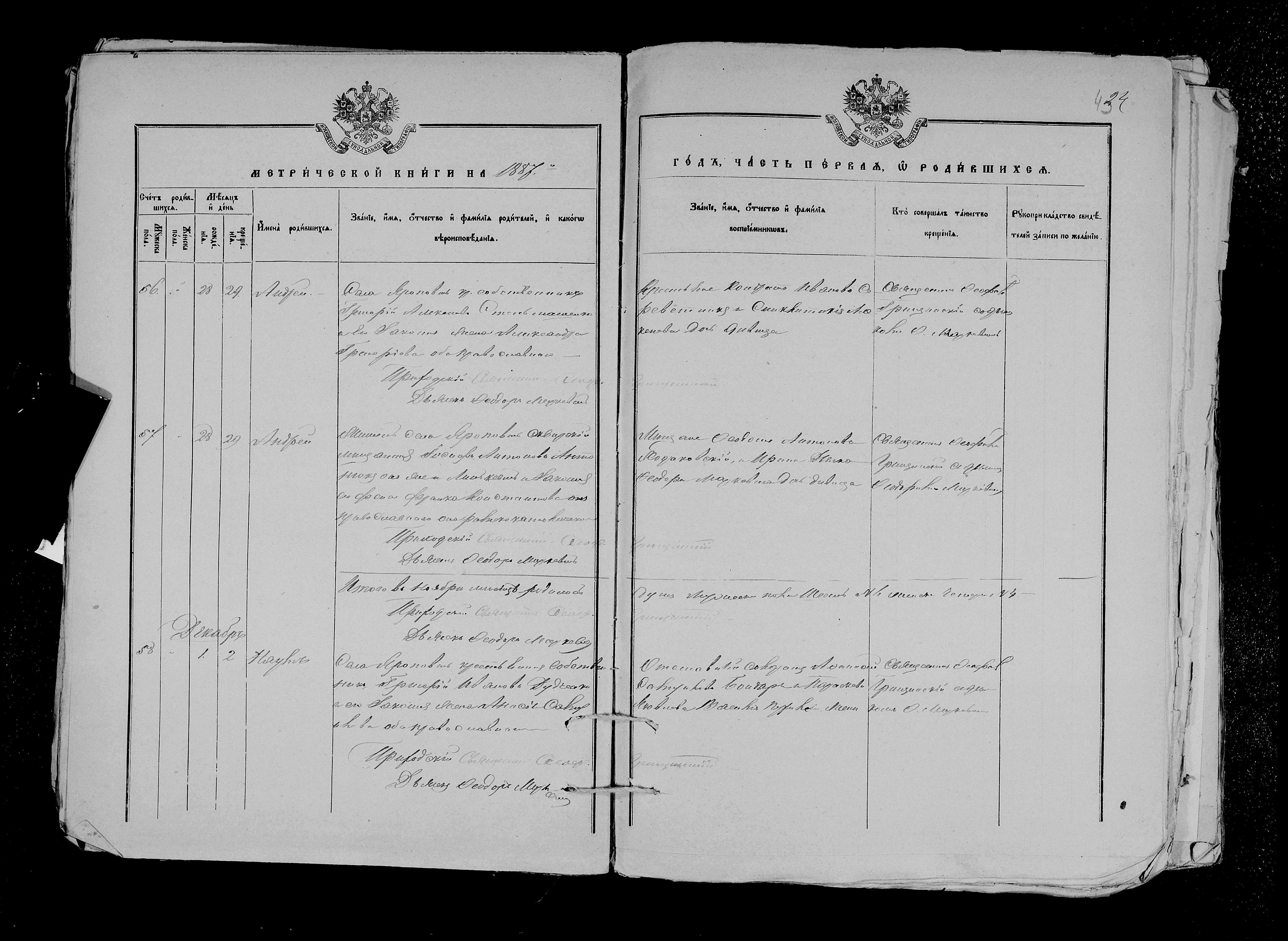 2_0248 Андрей Иосифович Линкевич