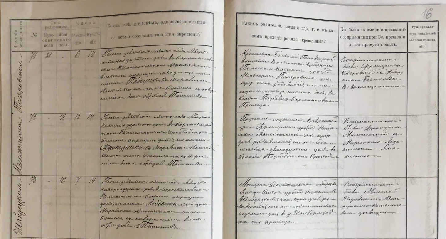 ЦДІАК_фонд_1040,_опис_1,_справа_279._1905_рік._Метрична_книга_костелу_Коростишів Тадеуш Tadeusz Томашевич Таляровский Talarowski