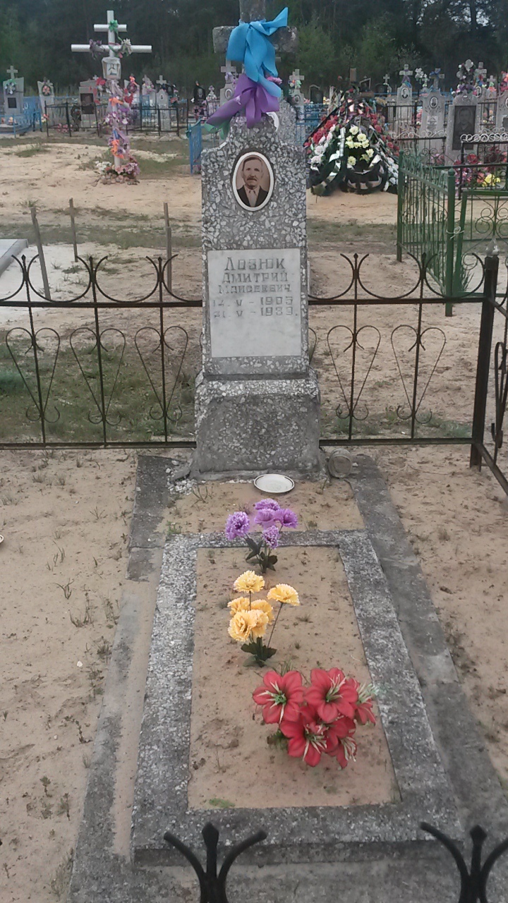 Дмитрий Моисеевич Лозюк