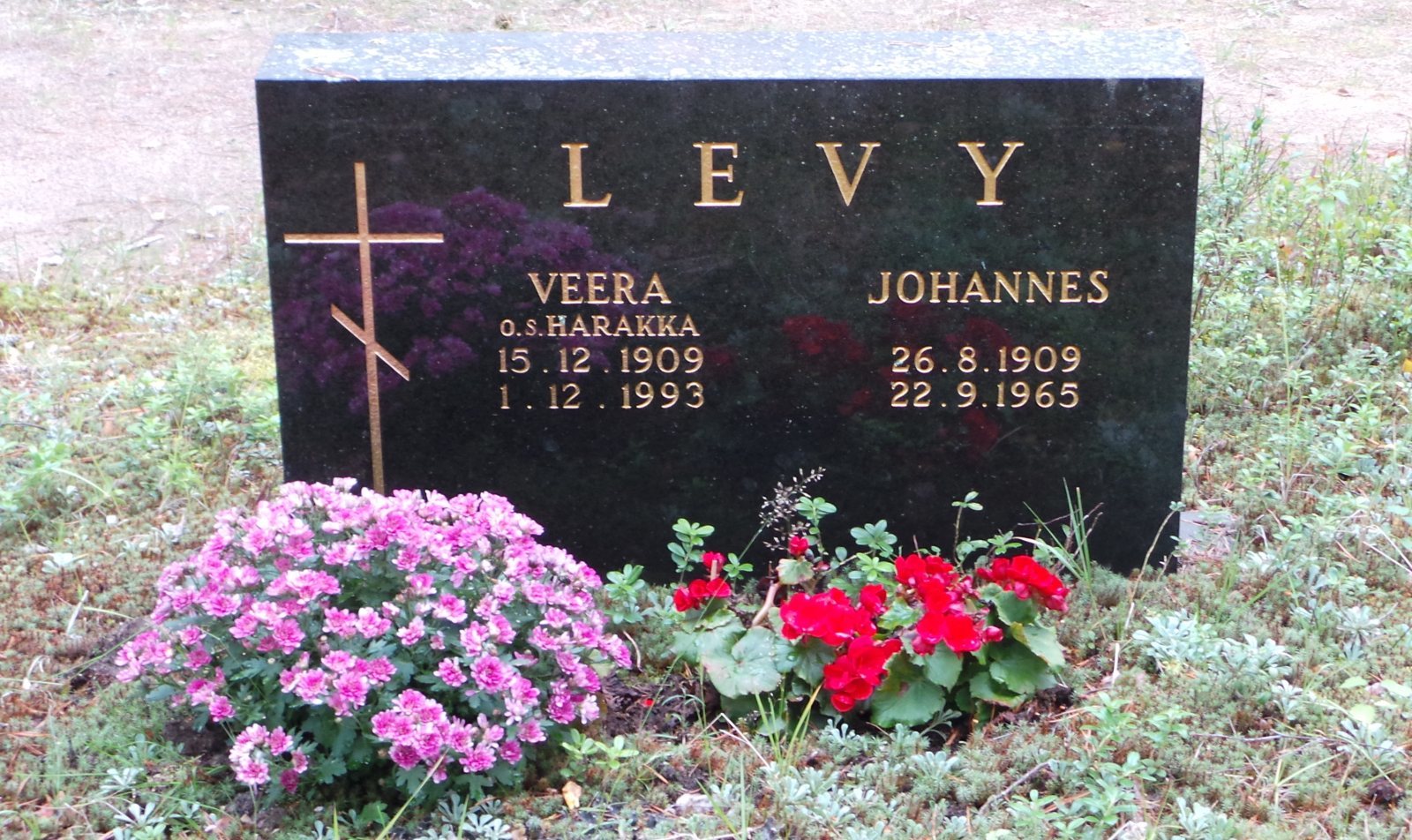 Veera Larionintytär Harakka