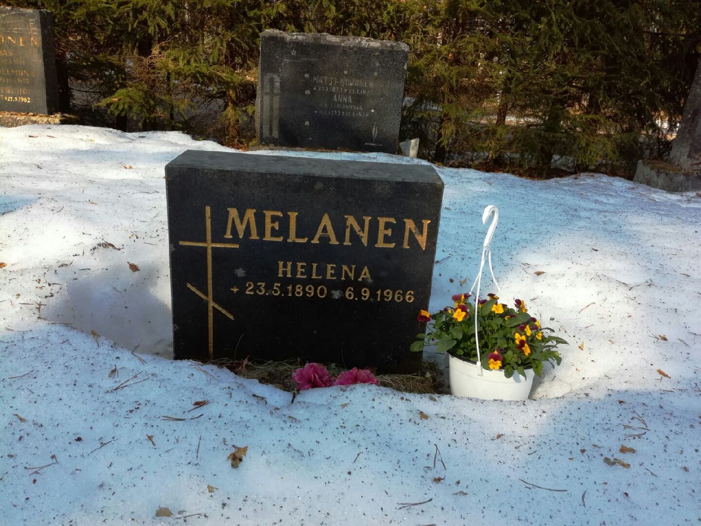 Helena (Jelena Olga) Laurenteintytär Juplova