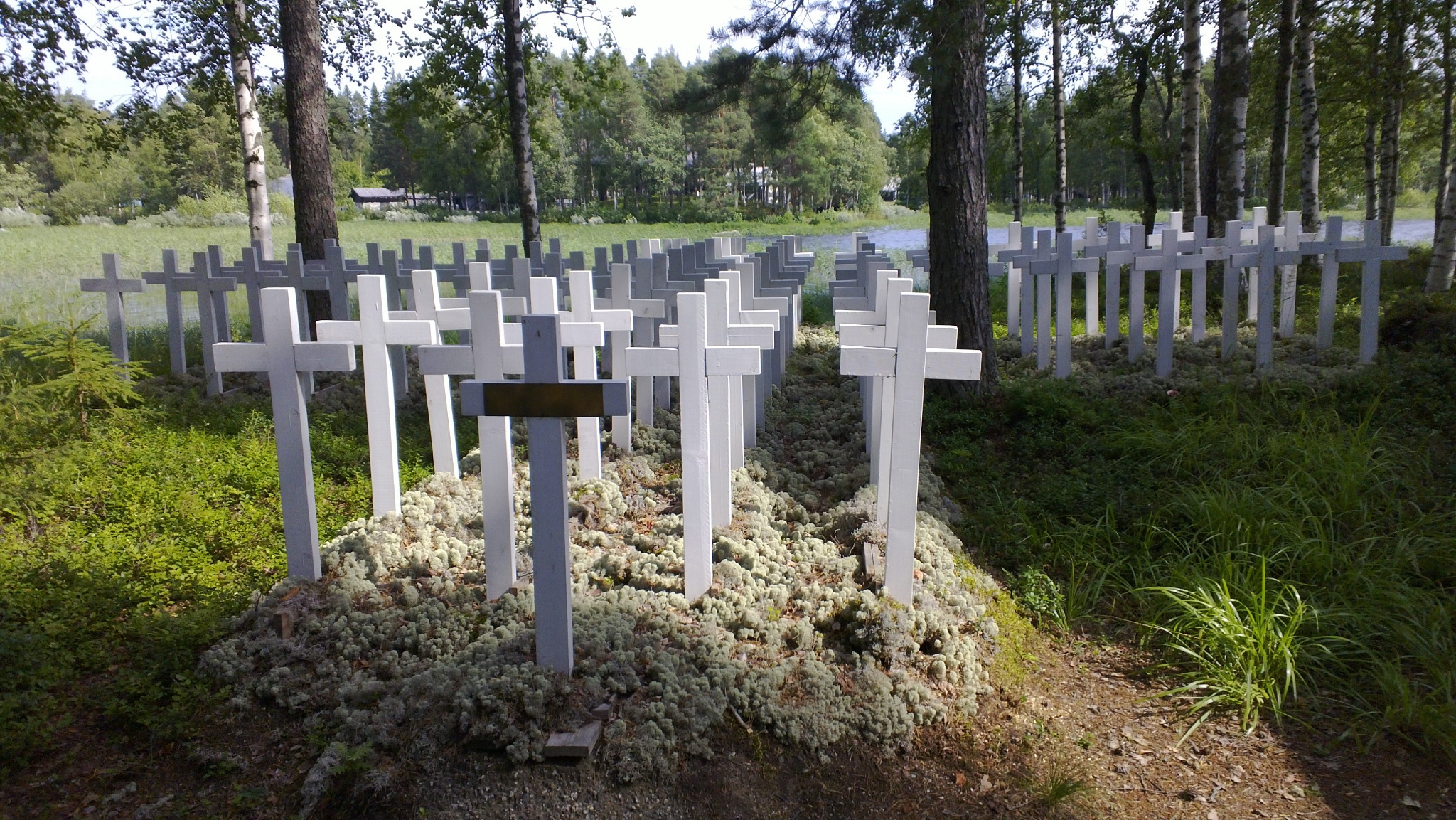 Arvi Nilosaari