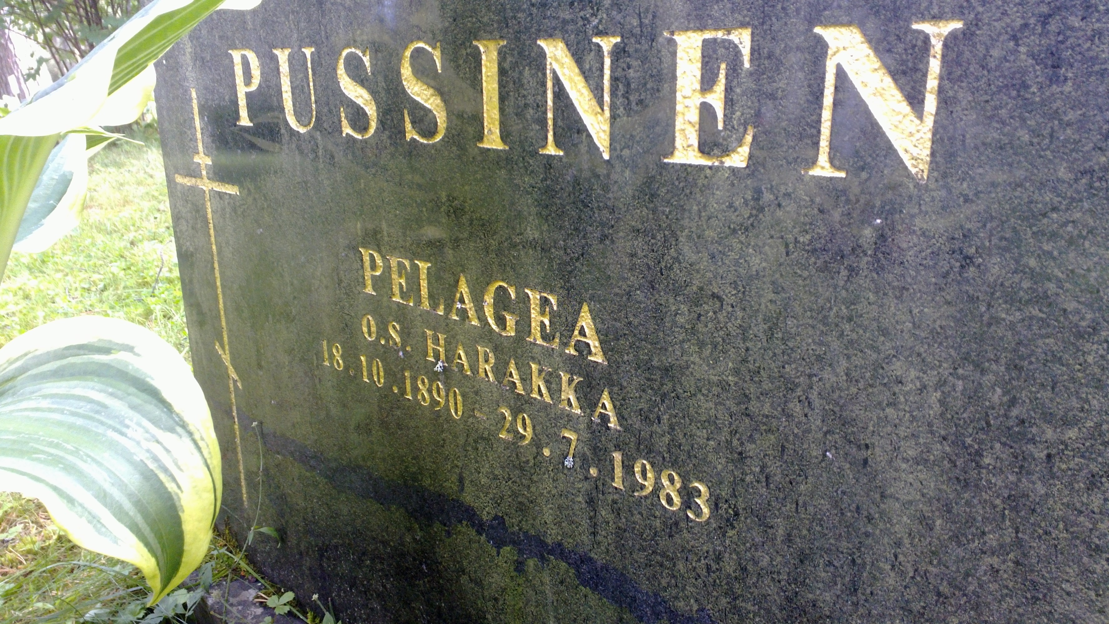 Pelagia Larionintytär Harakka