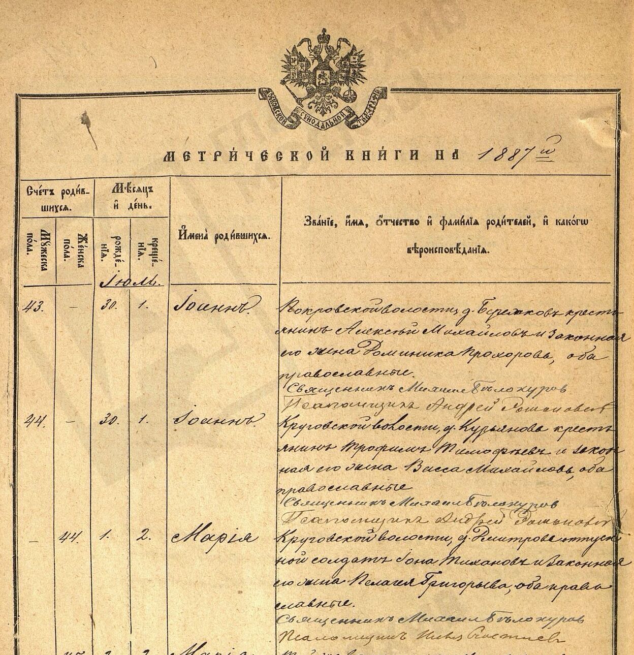Мария Ионова Тихонова Мария Ионова Тихонова