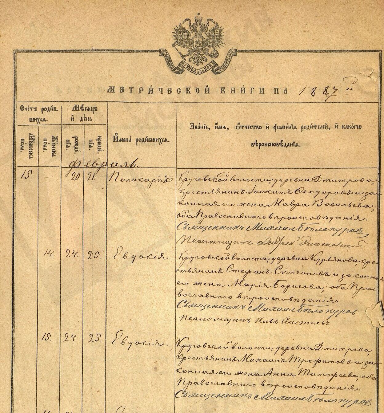 Евдокия Трофимова Евдокия Трофимова