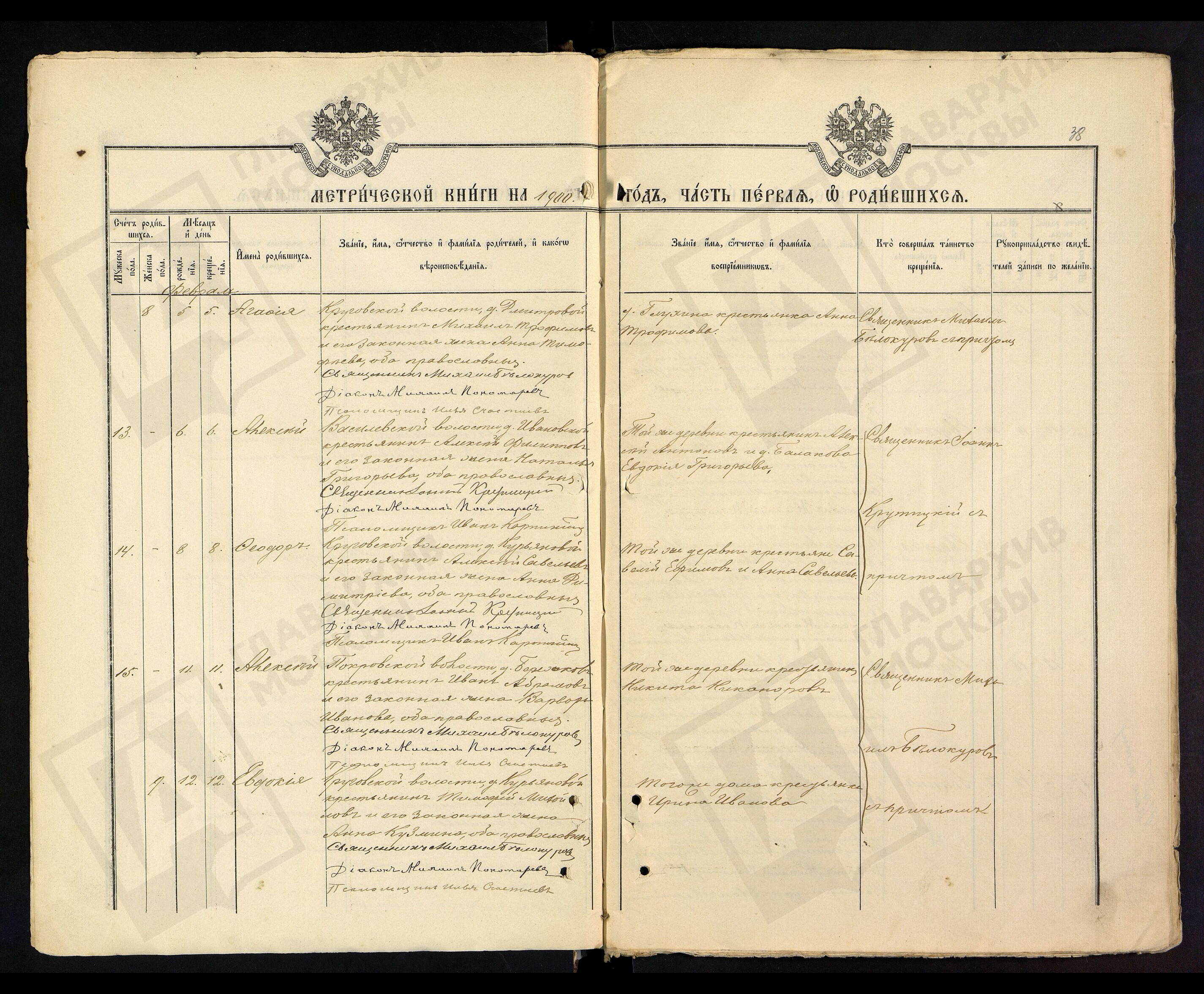 Агафья Трофимова_1900 Агафья Трофимова