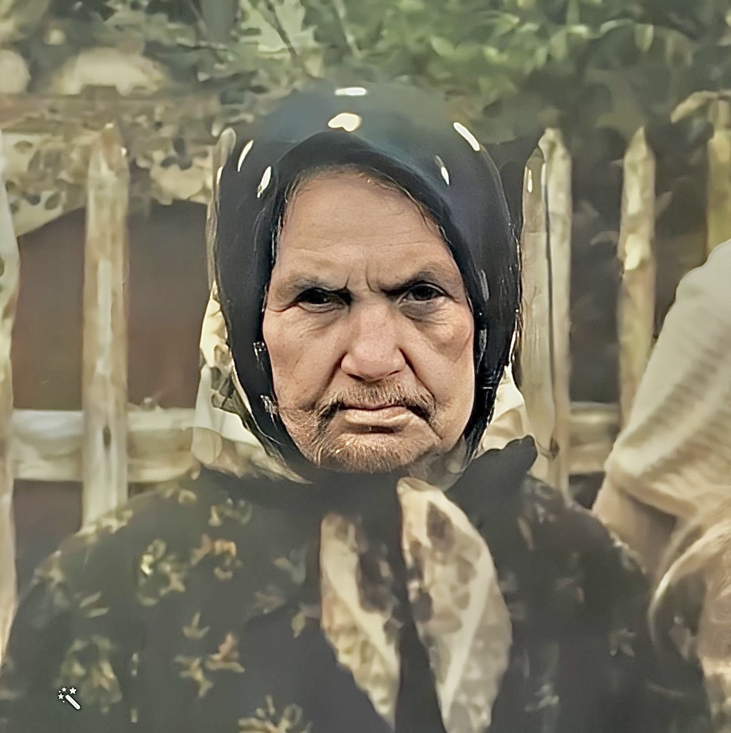 София Страхова София Страхова